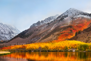 macOS High Sierra Stock 5K626512204